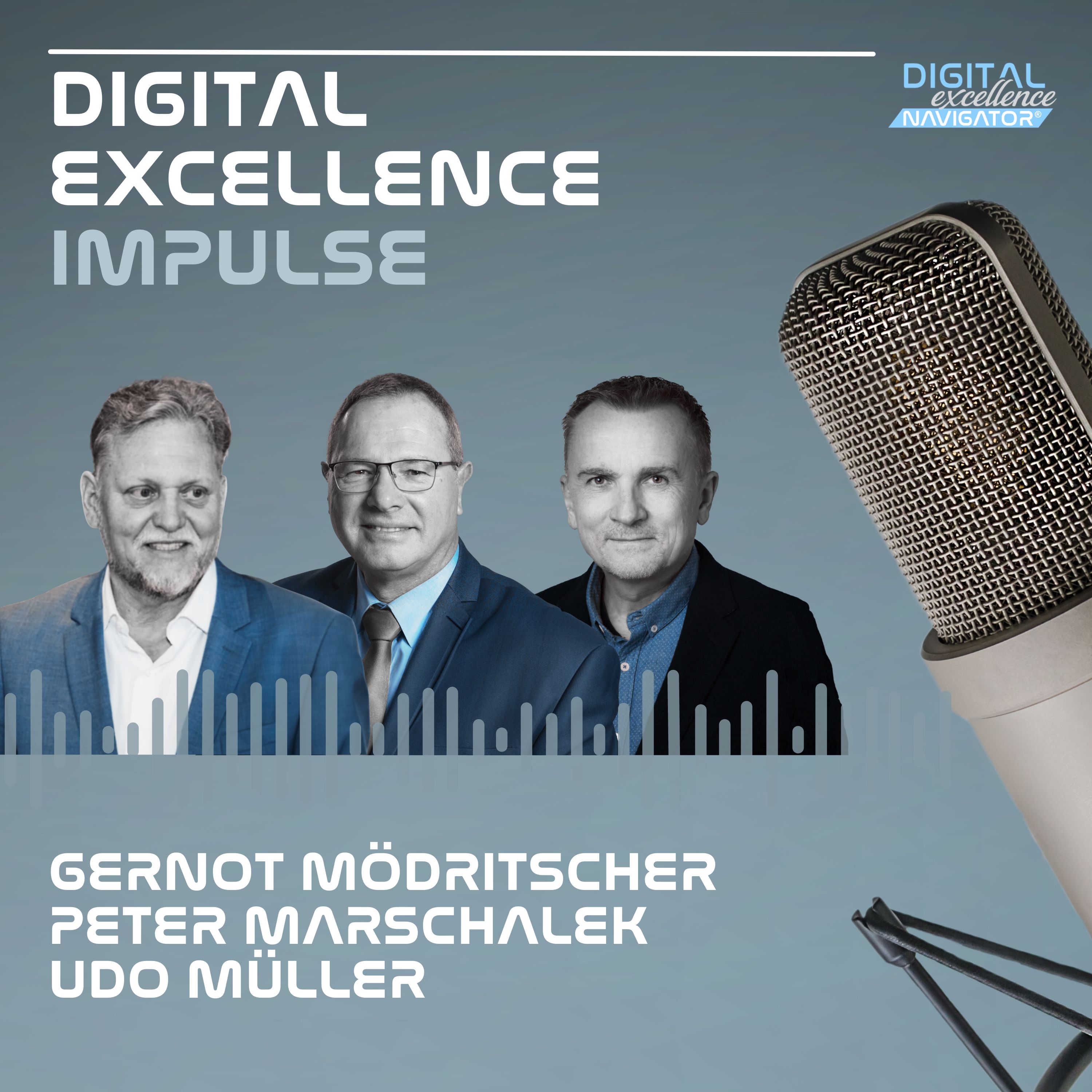 Digital Excellence Impulse